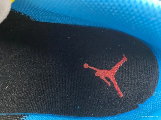 Olympic Jordan Low 1 Phat 338145-003 0708